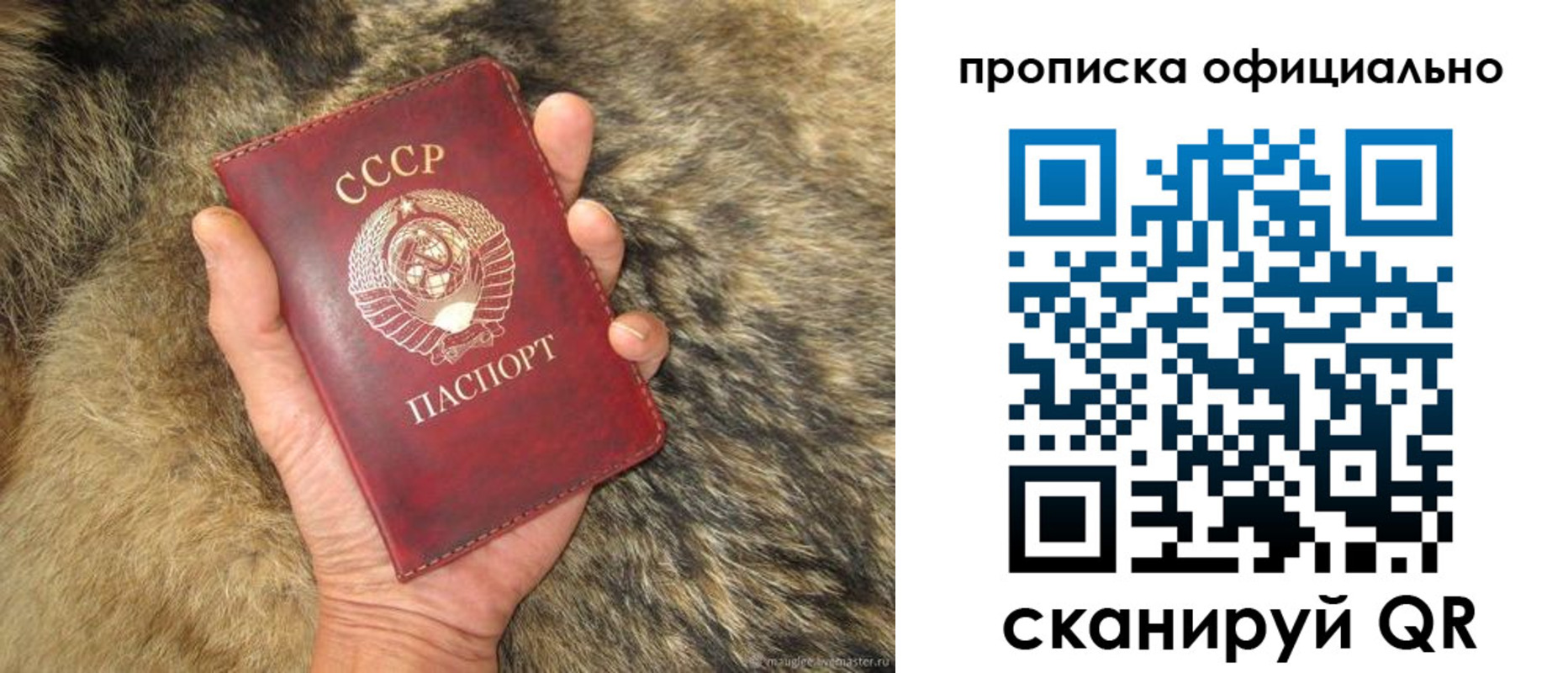 купить прописку в Кинешме
